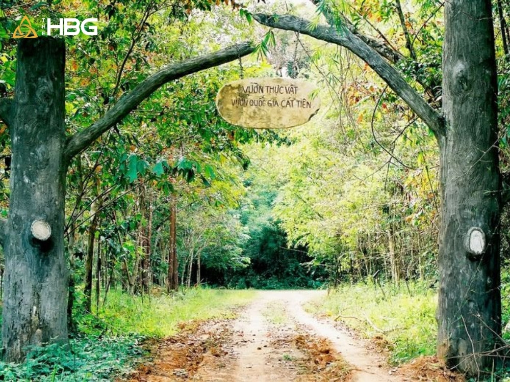 Vườn quốc gia Nam Cát Tiên Vườn quốc gia Nam Cát Tiên