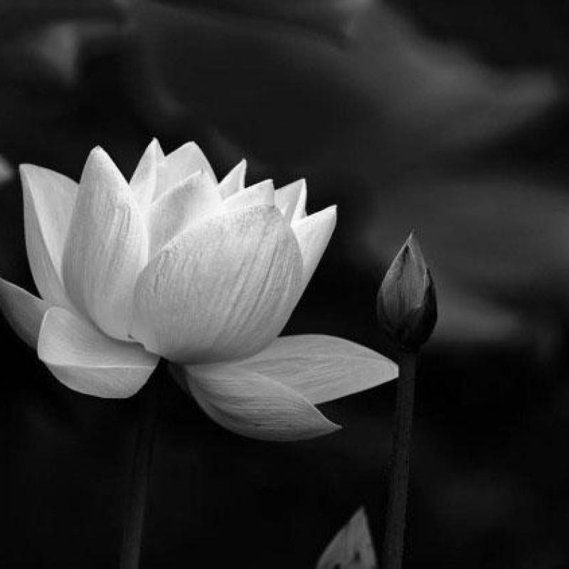 Tin buồn: Đồng chí Đại tá, GS.TS.TTND Lê Xuân Thục nguyên Phó GĐ BV 108 từ trần